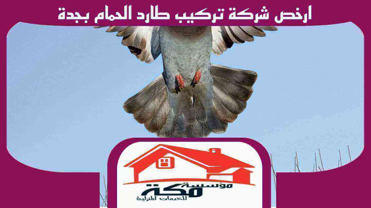 ارخص شركة تركيب طارد الحمام بجدة واتس 00201211437511 #مكة للخدمات المنزلية
