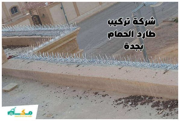 شركة تركيب طارد الحمام بجدة الأرخص عام 2026