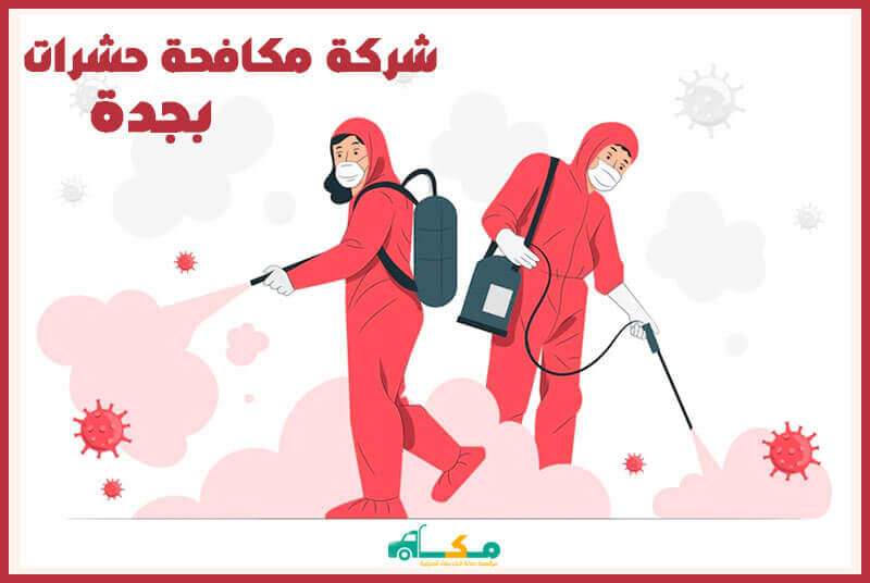 شركة مكافحة حشرات بجدة الأرخص عام ٢٠٢٥