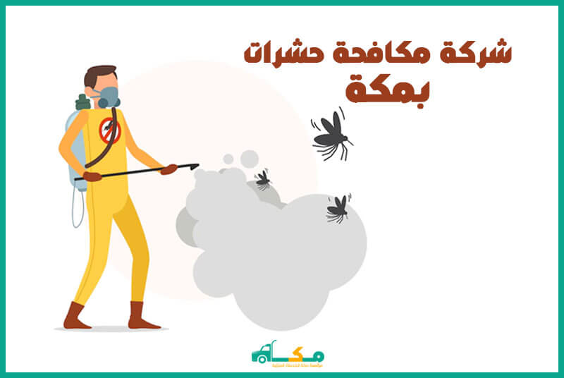 شركه رش حشرات بمكه - الحل الفعال لمشكلة الحشرات