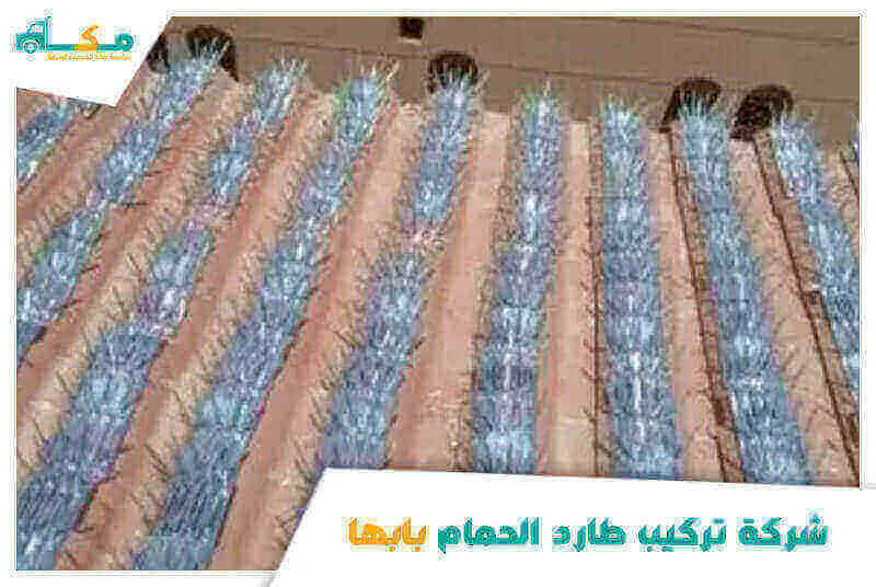 شركة تركيب طارد الحمام بابها الأرخص عام ٢٠٢٥ مكة لمكافحة الطيور