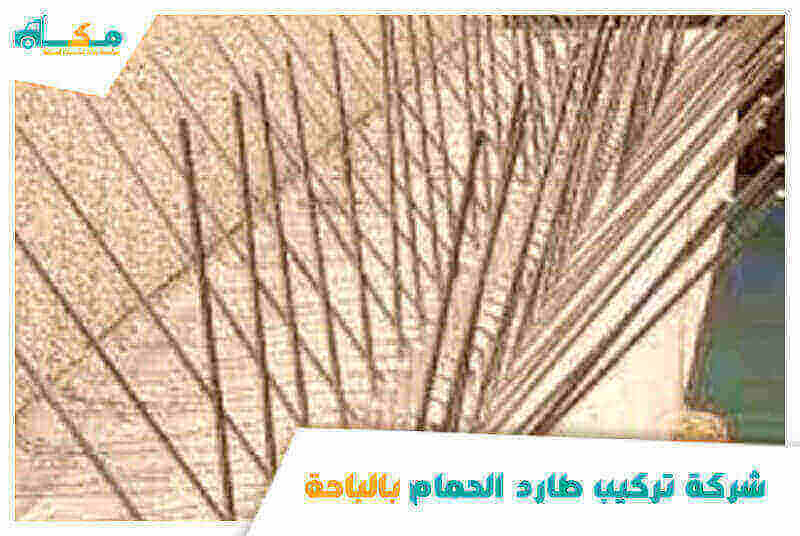 شركة تركيب طارد الحمام بالباحة الأرخص عام ٢٠٢٥ مكة لمكافحة الطيور