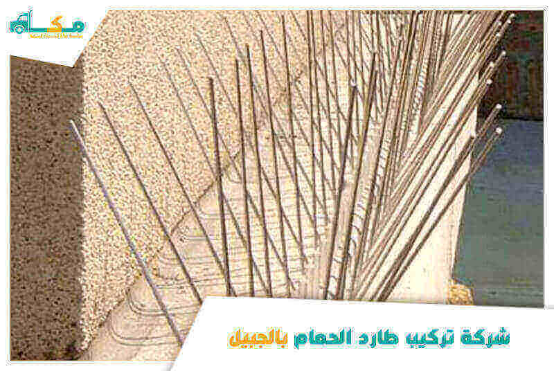 شركة تركيب طارد الحمام بالجبيل الأرخص عام ٢٠٢٥ مكة لمكافحة الطيور