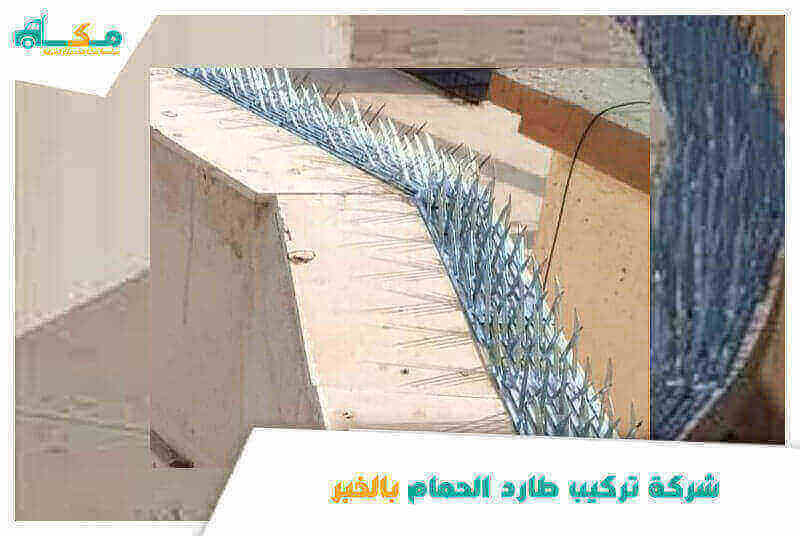 شركة تركيب طارد الحمام بالخبر الأرخص عام ٢٠٢٥ مكة لمكافحة الطيور