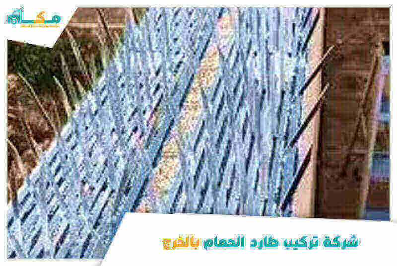 شركة تركيب طارد الحمام بالخرج الأرخص عام ٢٠٢٥ مكة لمكافحة الطيور