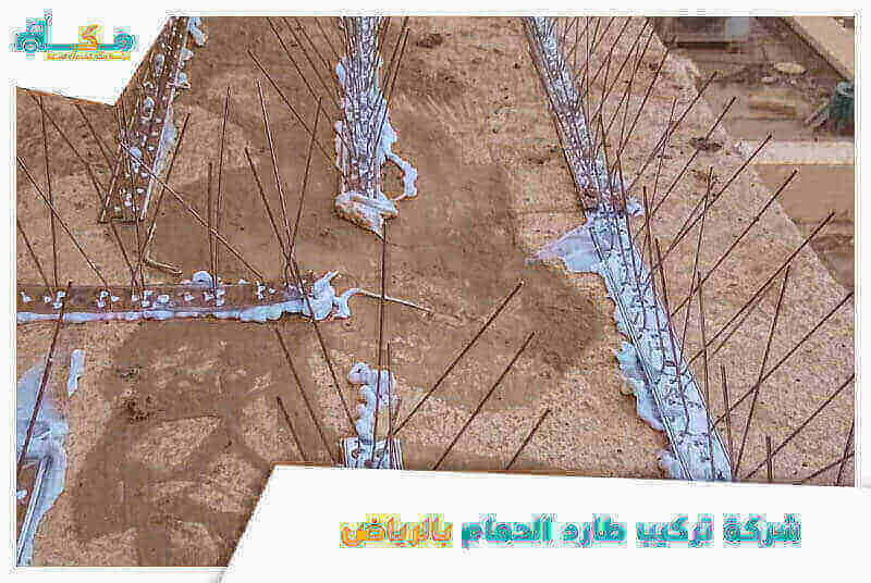 شركة تركيب طارد الحمام بالرياض الأرخص عام ٢٠٢٥ مكة لمكافحة الطيور