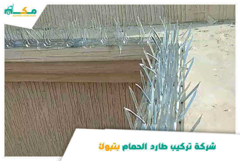 شركة تركيب طارد الحمام بتبوك الأرخص عام ٢٠٢٥ مكة لمكافحة الطيور