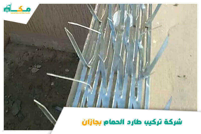 شركة تركيب طارد الحمام بجازان الأرخص عام ٢٠٢٥ مكة لمكافحة الطيور