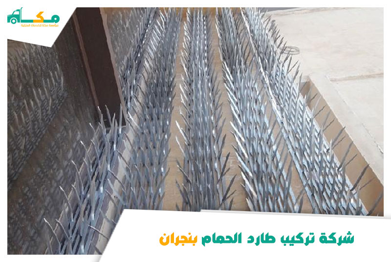 شركة تركيب طارد الحمام بنجران الأرخص عام ٢٠٢٥ مكة لمكافحة الطيور