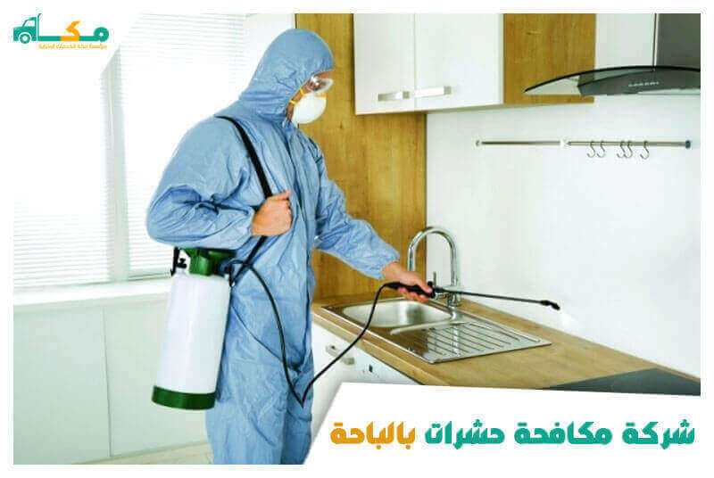 شركة مكافحة حشرات بالباحة