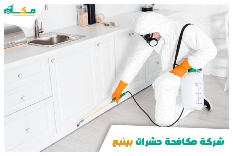 شركة مكافحة حشرات بينبع الأرخص عام ٢٠٢٥